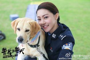 警花与警犬的幕后花絮,真实警犬训练幕后揭秘