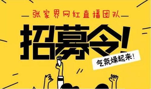 网红招聘,揭秘网红招聘背后的机遇与挑战
